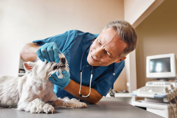 Best Same-Day Emergency Dentist in Liberty, SC